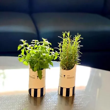 Blerina's Agritourism Concept *