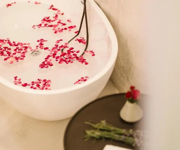 Hotel Blerina's Agritourism Concept