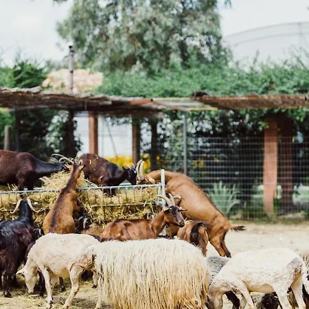 Hotel Blerina's Agritourism Concept